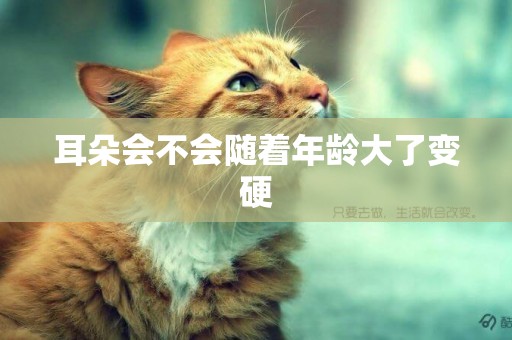 耳朵會不會隨著年齡大了變硬