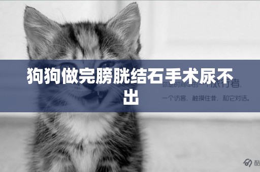 狗狗做完膀胱結石手術尿不出