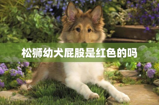 松獅幼犬屁股是紅色的嗎