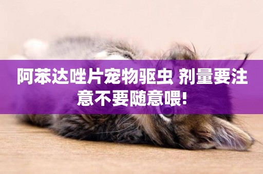 阿苯達唑片寵物驅蟲 劑量要注意不要隨意喂!
