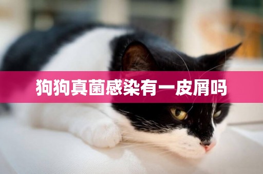 狗狗真菌感染有一皮屑嗎