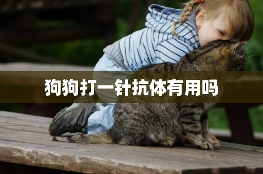 狗狗打一針抗體有用嗎
