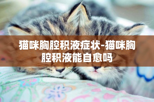 貓咪胸腔積液癥狀-貓咪胸腔積液能自愈嗎