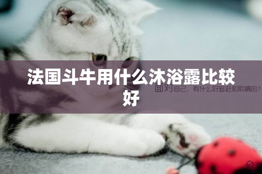 法國斗牛用什么沐浴露比較好