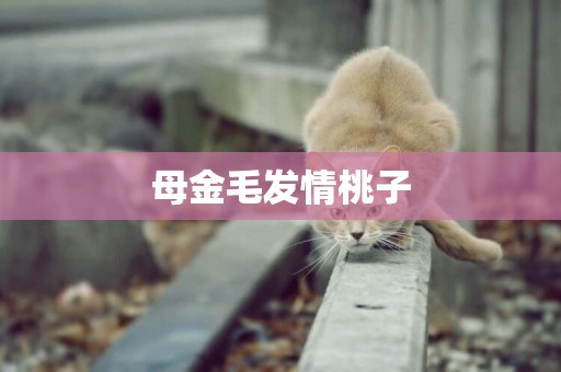 母金毛發情桃子