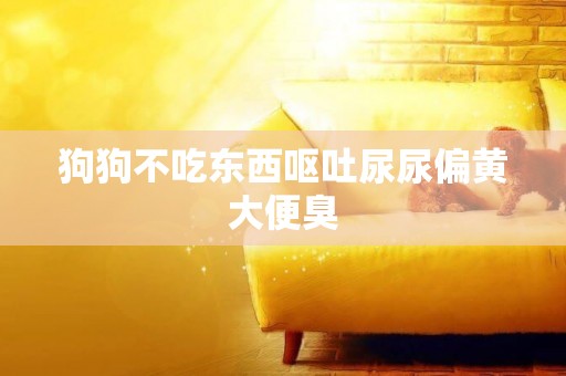 狗狗不吃東西嘔吐尿尿偏黃大便臭