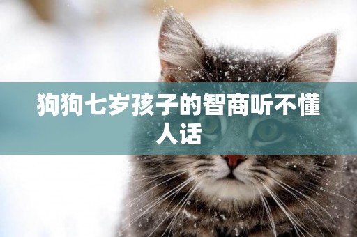 狗狗七歲孩子的智商聽不懂人話