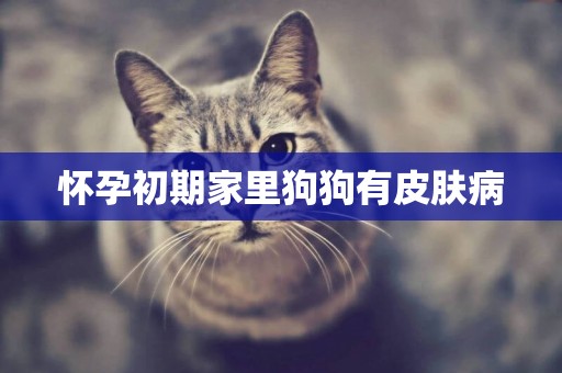 懷孕初期家里狗狗有皮膚病