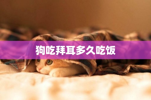 狗吃拜耳多久吃飯
