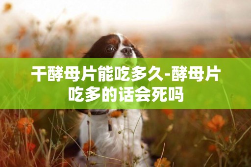 干酵母片能吃多久-酵母片吃多的話會死嗎