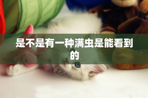 是不是有一種滿蟲是能看到的