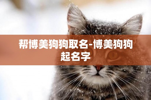 幫博美狗狗取名-博美狗狗起名字