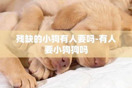 殘缺的小狗有人要嗎-有人要小狗狗嗎
