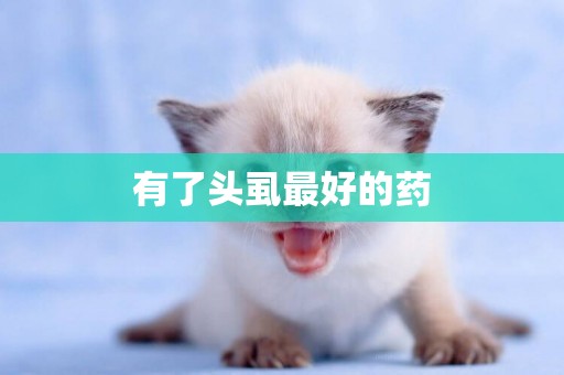 有了頭虱最好的藥