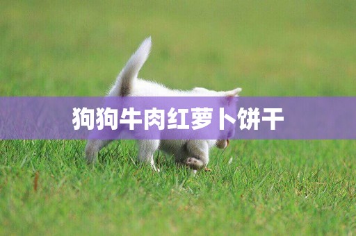 狗狗牛肉紅蘿卜餅干