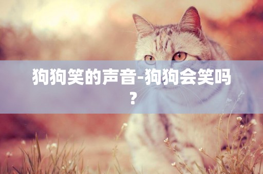 狗狗笑的聲音-狗狗會笑嗎？