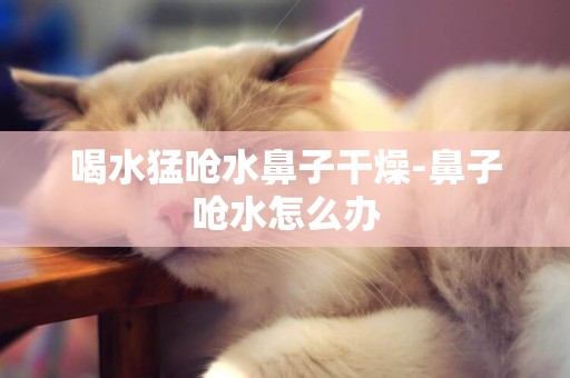 喝水猛嗆水鼻子干燥-鼻子嗆水怎么辦