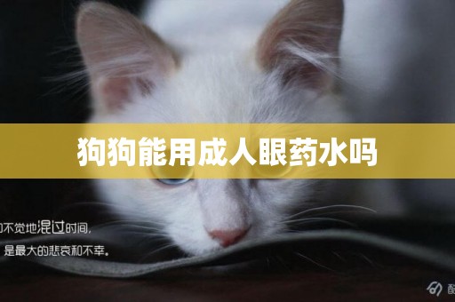 狗狗能用成人眼藥水嗎