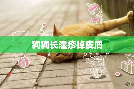 狗狗長濕疹掉皮屑