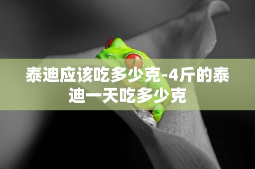 泰迪應該吃多少克-4斤的泰迪一天吃多少克