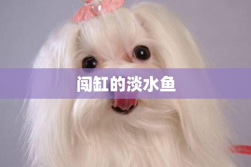 闖缸的淡水魚