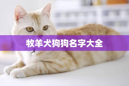 牧羊犬狗狗名字大全