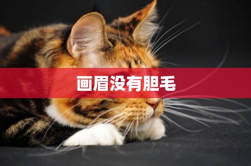 畫眉沒有膽毛