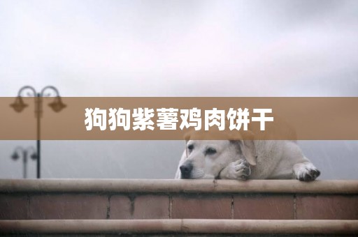 狗狗紫薯雞肉餅干