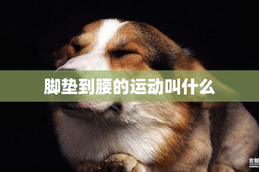 腳墊到腰的運動叫什么