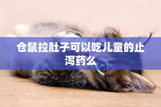 倉鼠拉肚子可以吃兒童的止瀉藥么