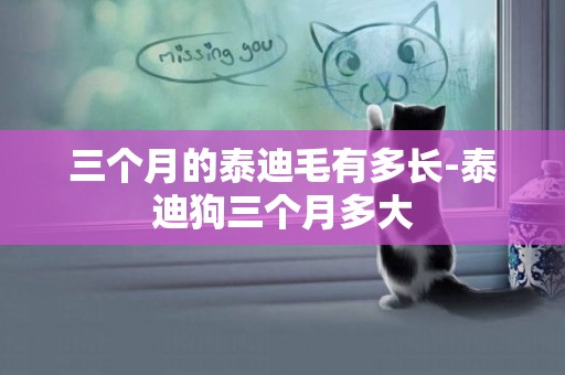 三個月的泰迪毛有多長-泰迪狗三個月多大