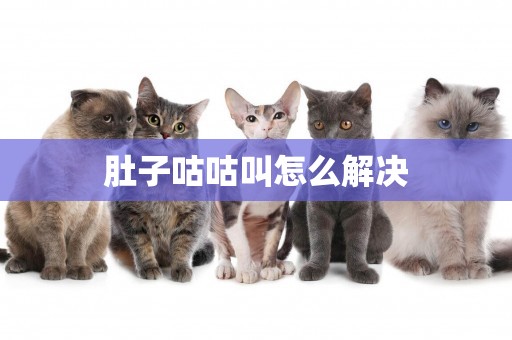 肚子咕咕叫怎么解決