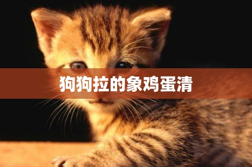 狗狗拉的象雞蛋清
