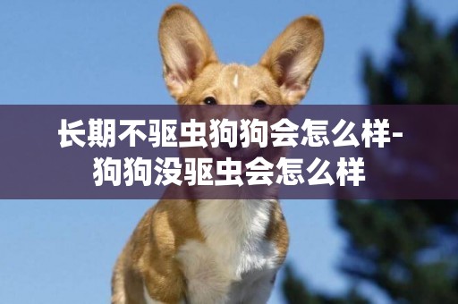 長期不驅蟲狗狗會怎么樣-狗狗沒驅蟲會怎么樣