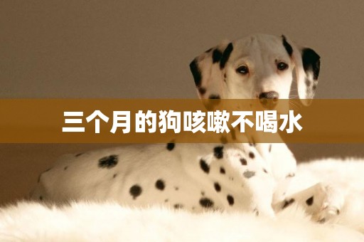 三個月的狗咳嗽不喝水