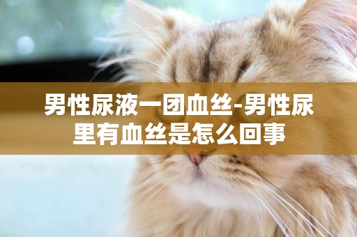 男性尿液一團血絲-男性尿里有血絲是怎么回事