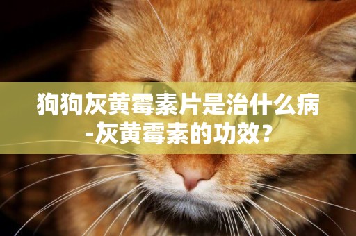 狗狗灰黃霉素片是治什么病-灰黃霉素的功效？