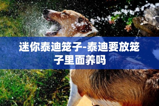 迷你泰迪籠子-泰迪要放籠子里面養嗎