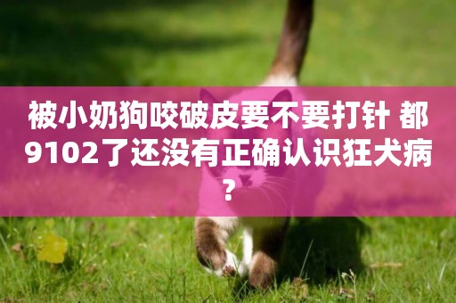 被小奶狗咬破皮要不要打針 都9102了還沒有正確認識狂犬病?