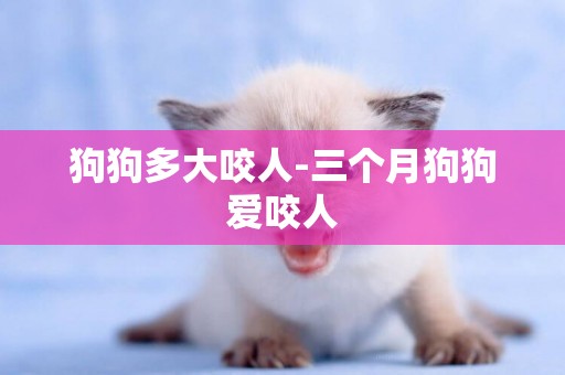 狗狗多大咬人-三個月狗狗愛咬人