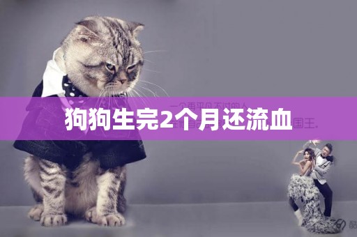 狗狗生完2個月還流血