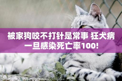 被家狗咬不打針是常事 狂犬病一旦感染死亡率100!