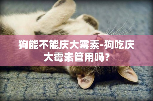 狗能不能慶大霉素-狗吃慶大霉素管用嗎？