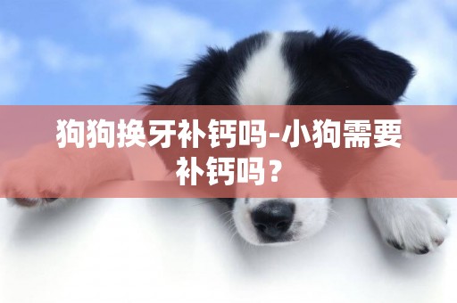 狗狗換牙補鈣嗎-小狗需要補鈣嗎？