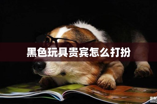 黑色玩具貴賓怎么打扮