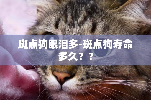 斑點狗眼淚多-斑點狗壽命多久？？