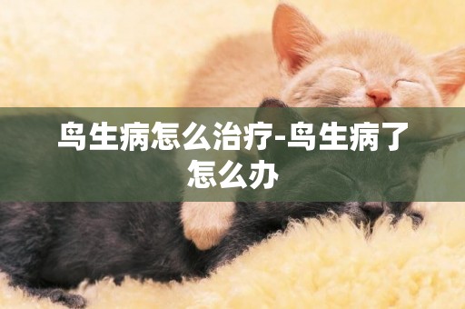 鳥生病怎么治療-鳥生病了怎么辦