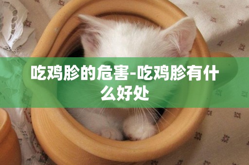 吃雞胗的危害-吃雞胗有什么好處