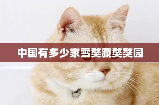 中國有多少家雪獒藏獒獒園