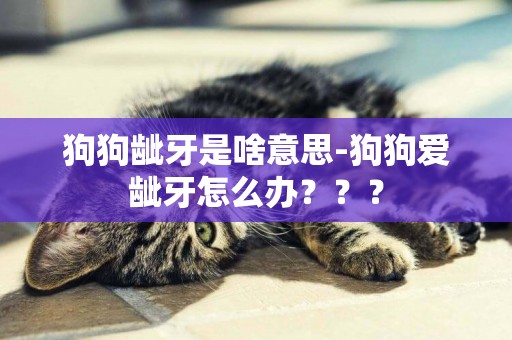 狗狗齜牙是啥意思-狗狗愛齜牙怎么辦？？？